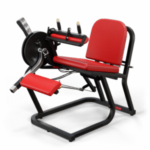 Seated Leg Curl